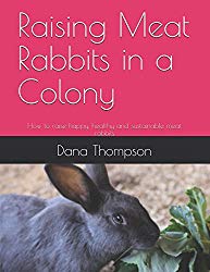 Raising Meat Rabbits In A Colony