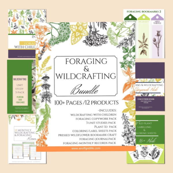 Foraging & Wildcrafting With Children...