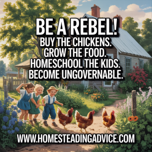 homesteading-5