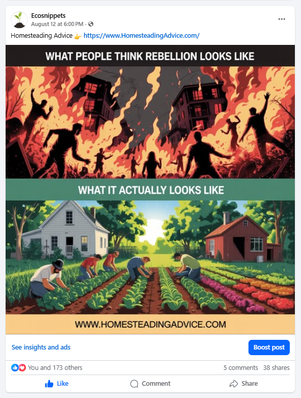 Homesteading Advice Social Media Example Homesteading Advice Social Media Example